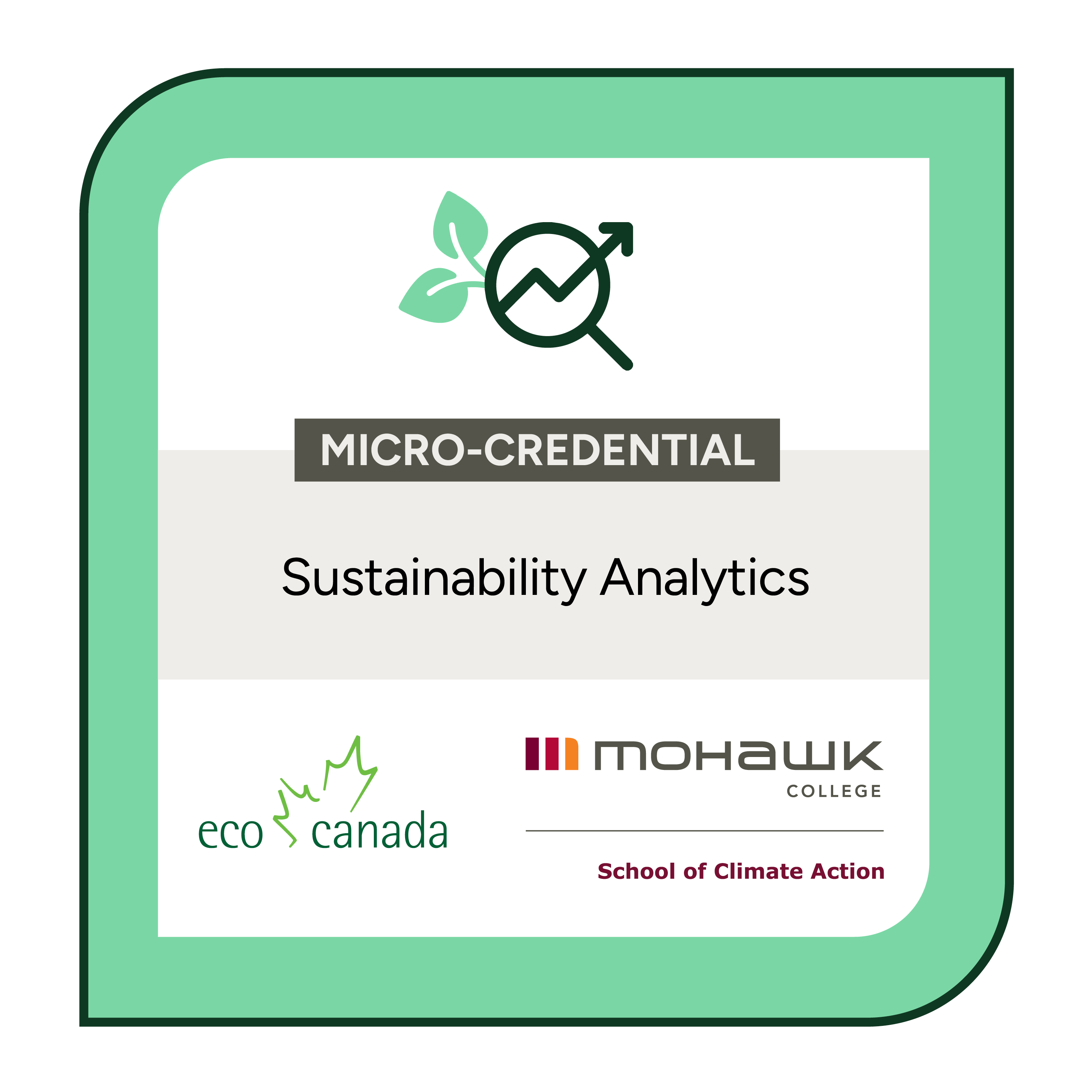 The Sustainability Analytics Badge