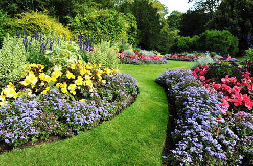 a pathway through a beautiful flowering garden